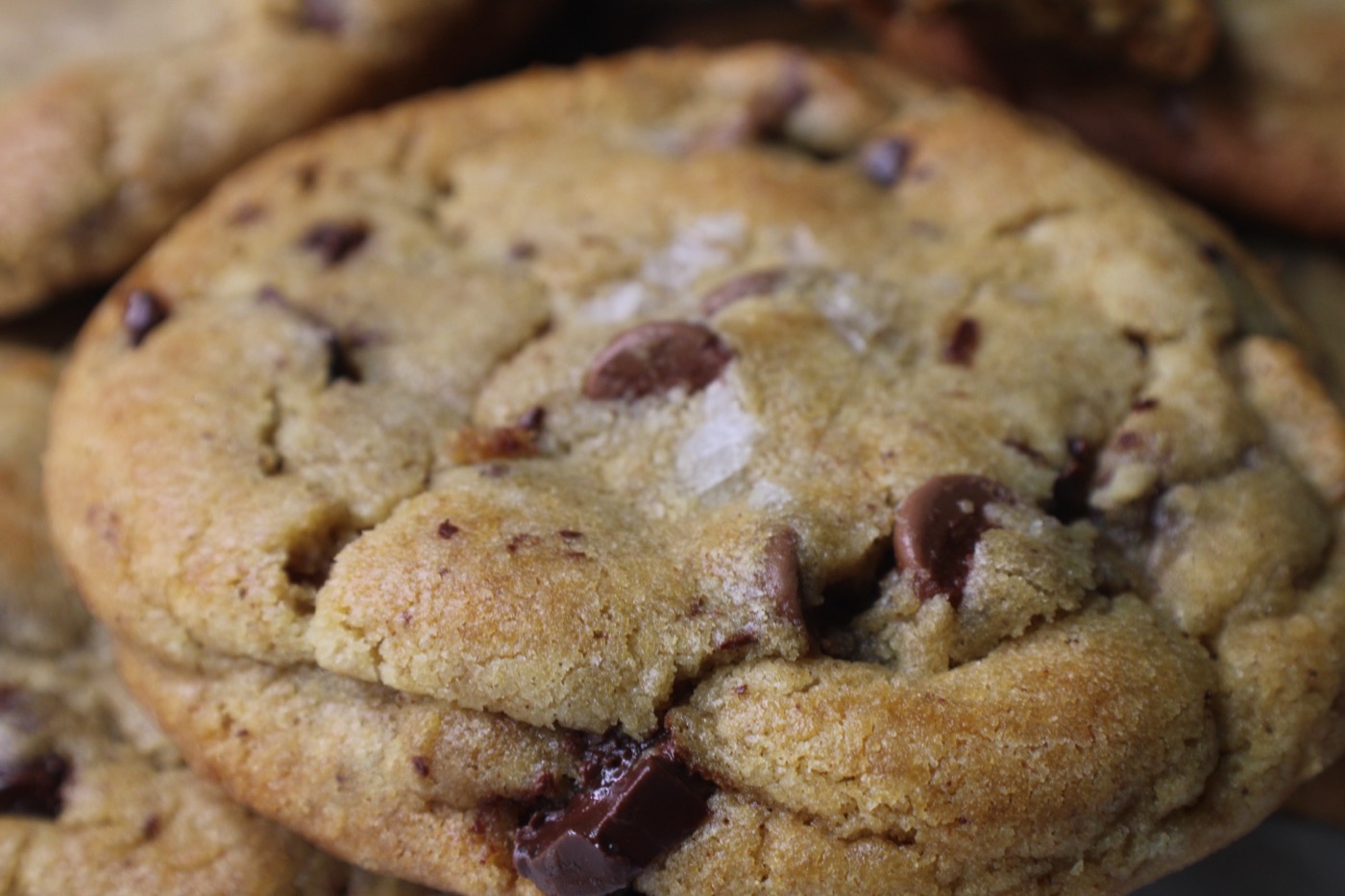Brown Butter Chocolate Chip — close-up